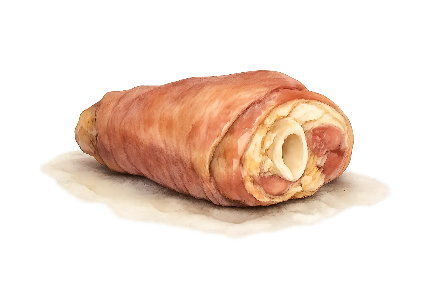 ham hock