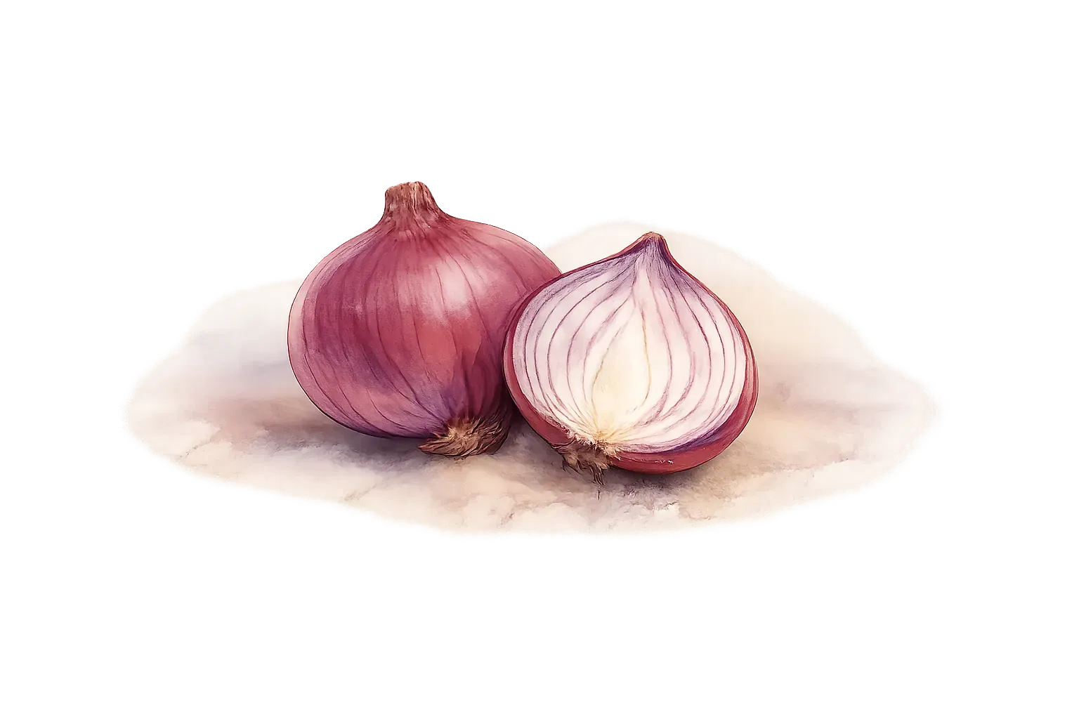 red onion