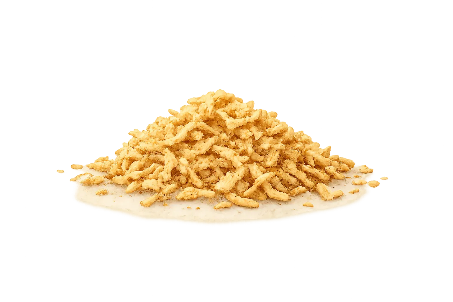 fried onion rings
